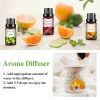 10pcs Fruit Fragrance Essential Oils Gift Set Strawberry Mango Watermelon Passion Fruit Coconut Flavoring Oil for Candle Making