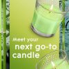 Glade Scented Candle Jar, Bamboo & Waterlily, Fragrance Infused with Essential Oils, 3.4 oz, Pack of 2