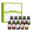 10pcs Fruit Fragrance Essential Oils Gift Set Strawberry Mango Watermelon Passion Fruit Coconut Flavoring Oil for Candle Making